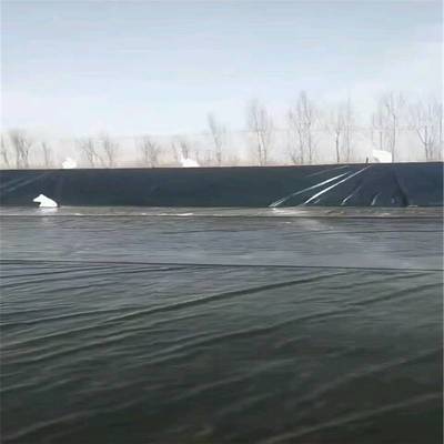 土工膜在虾池建设中的应用与价格分析