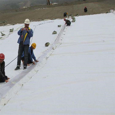 复合土工膜与土工膜 性能、应用及区别解析